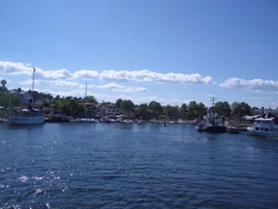 IMGP1310