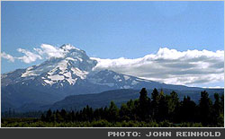 Mt Hood